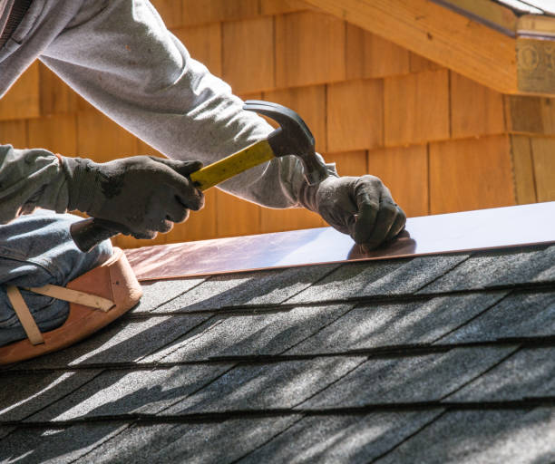Best Metal Roofing Contractor  in South Monrovia Island, CA